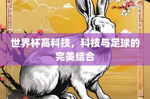 世界杯高科技，科技与足球的完美结合广西贺州市华昌新材料有限公司