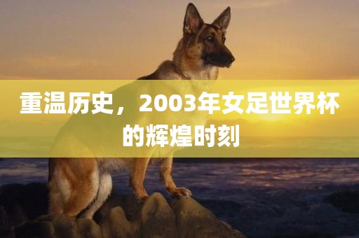 重温历史，2003年女足世界杯的辉煌时刻
