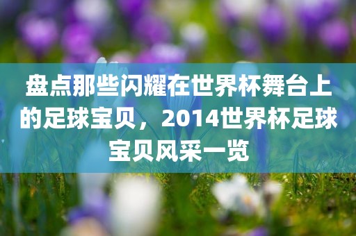 盘点那些闪耀在世界杯舞台上的足球宝贝，2014世界杯足球宝贝风采一览
