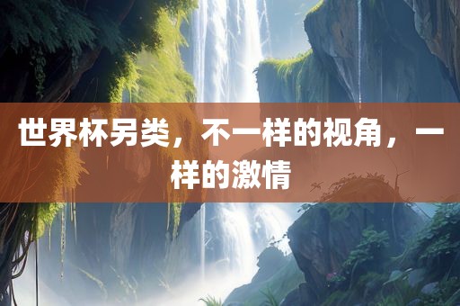 世界杯另类，不一样的视角，一样的激情广西贺州市华昌新材料有限公司