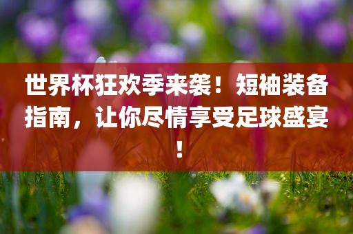 世界杯狂欢季来袭！短袖装备指南，让你尽情享受足球盛宴！广西贺州市华昌新材料有限公司
