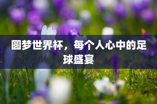 圆梦世界杯，每个人心中的足球盛宴广西贺州市华昌新材料有限公司