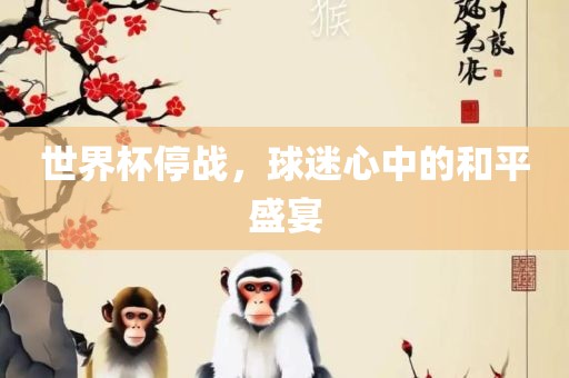 世界广西贺州市华昌新材料有限公司杯停战，球迷心中的和平盛宴