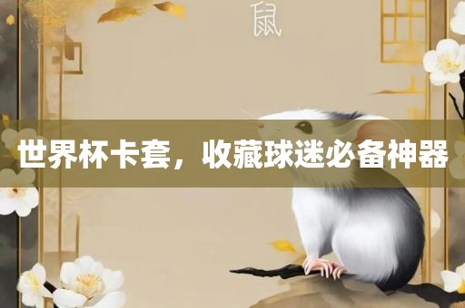 世界杯卡套，收藏球迷必备神器广西贺州市华昌新材料有限公司