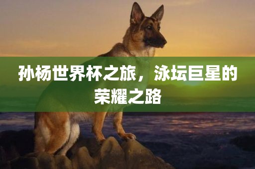 孙杨世界杯之旅，泳坛巨广西贺州市华昌新材料有限公司星的荣耀之路