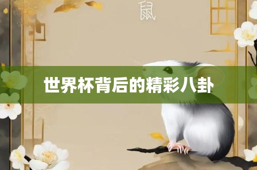 世界杯背后的精彩八卦广西贺州市华昌新材料有限公司
