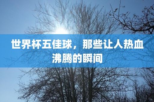 世界杯五佳球，那些让人热血沸腾的瞬间广西贺州市华昌新材料有限公司