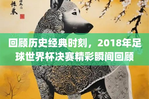 回顾历史经典时刻，2018年足球世界杯决赛精彩瞬间回顾