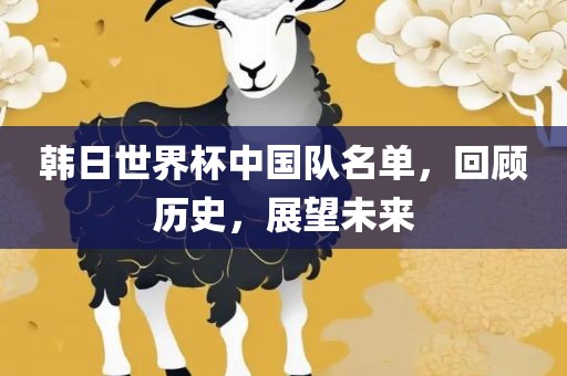 韩日世界杯中国队名单，回顾历史，展望未来广西贺州市华昌新材料有限公司