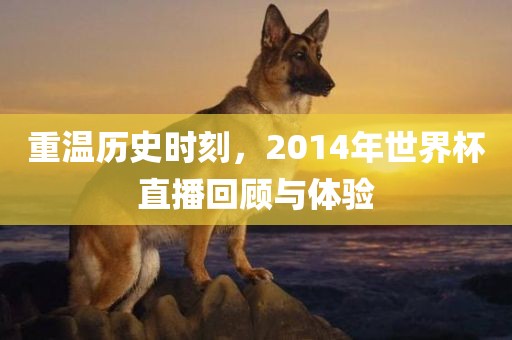 重温历史时刻，2014年世界杯直播回顾与体验