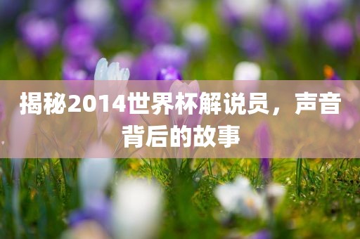 揭秘2014世界杯广西贺州市华昌新材料有限公司解说员，声音背后的故事