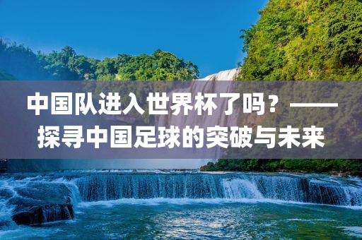 中国队进入世界杯了吗？——广西贺州市华昌新材料有限公司探寻中国足球的突破与未来