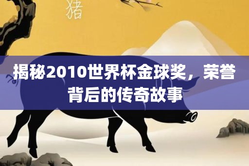 揭秘2010世界杯金球奖，荣誉背后的传奇故事