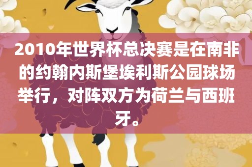 2010年世界杯总决赛是在南非的约翰内斯堡埃利斯公园球场举行，对阵双方为荷兰与西班牙。