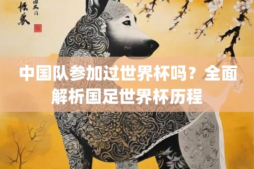 中国队参加过世界杯吗？全面解析国足世界杯历程广西贺州市华昌新材料有限公司