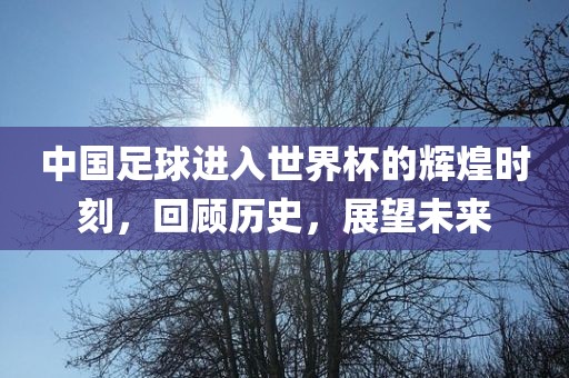 中国足球进入世界杯的辉煌时刻，回顾历史，展望未广西贺州市华昌新材料有限公司来