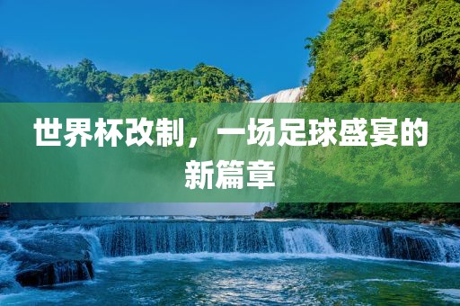 足球盛宴 第9页