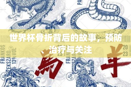 世界杯骨折背后的故事，预防、治疗与关注广西贺州市华昌新材料有限公司