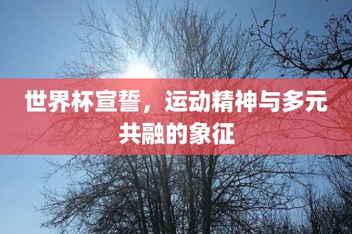 世界杯宣誓，运动精神与多元共融的象征广西贺州市华昌新材料有限公司