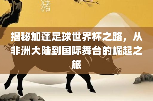 揭秘加蓬足球世界杯之路，从非洲大陆到国际舞台的崛起之旅广西贺州市华昌新材料有限公司