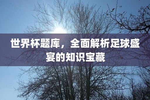 世界杯题库，全面解析足球盛宴的知识宝藏广西贺州市华昌新材料有限公司