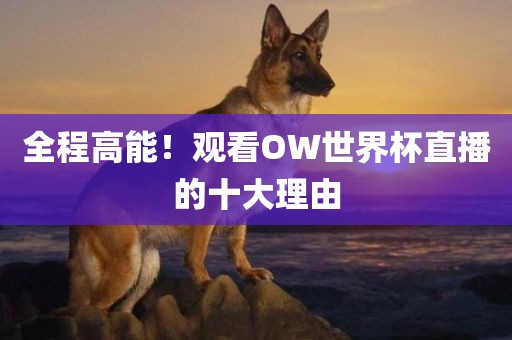 全程高能！观看OW世界杯直播的十大理由