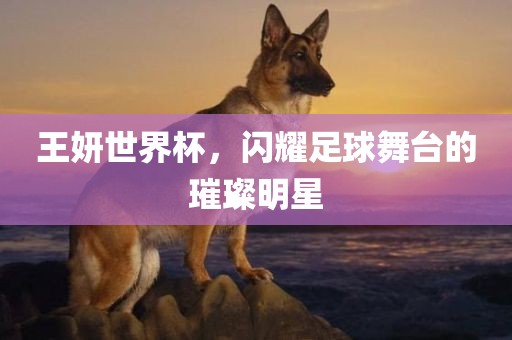 王妍世广西贺州市华昌新材料有限公司界杯，闪耀足球舞台的璀璨明星