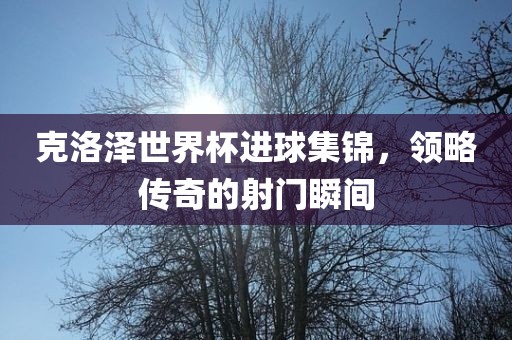 克洛泽世界杯进球集锦，领略传奇的射门瞬间广西贺州市华昌新材料有限公司