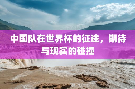 中国队在世界杯的征途，期待与现实的碰撞