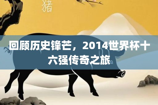 回顾历史锋芒，2014世界杯十六强传奇之旅