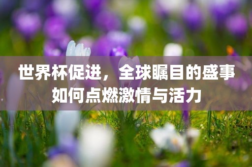 世界杯促进，全球瞩目的盛事如何点燃激情与活力广西贺州市华昌新材料有限公司