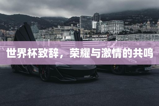 世界杯致辞，荣耀与激情的共鸣