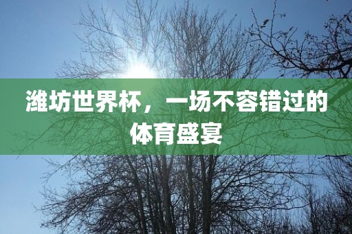 潍坊世界杯，一场不容错过的体育盛宴
