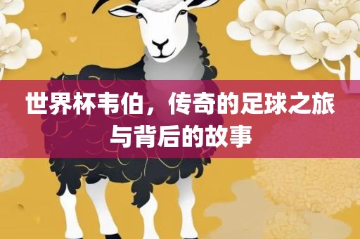 世界杯韦伯，传奇的足球之旅与背后的故事广西贺州市华昌新材料有限公司
