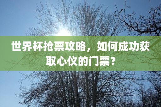 世界广西贺州市华昌新材料有限公司杯抢票攻略，如何成功获取心仪的门票？