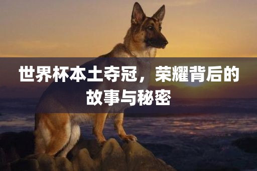 世界杯本土夺冠，荣耀背后的故事与秘密广西贺州市华昌新材料有限公司