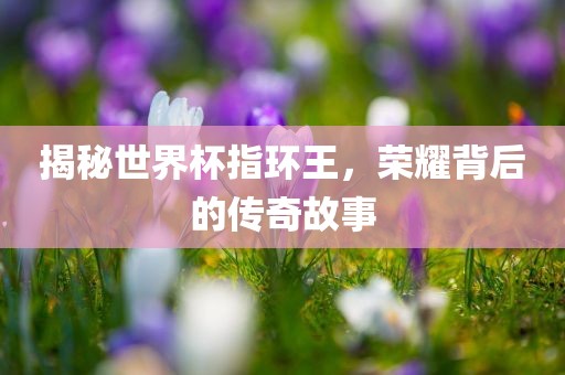 揭秘世界杯指环王，荣耀背后的传奇故事