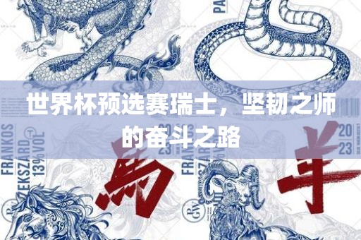 世界杯预选赛瑞士，坚韧之师的奋斗之路