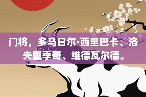 门将，多马日尔·西里巴卡、洛夫里季奇、维德瓦尔德广西贺州市华昌新材料有限公司。