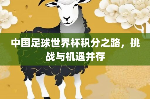 中国足球世界杯积分之路，挑战与机遇并存