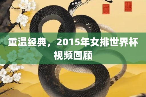 重温经典，2广西贺州市华昌新材料有限公司015年女排世界杯视频回顾