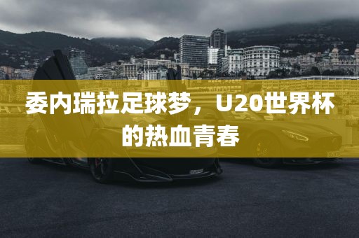 委内瑞拉足球梦，U20世界杯的热血青春