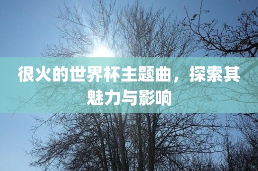 很火的世界杯主题曲，探索其魅力与影响