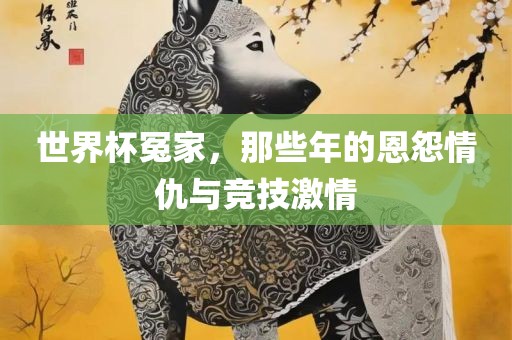 世界杯冤家，那些年的恩怨情仇与竞技激情广西贺州市华昌新材料有限公司