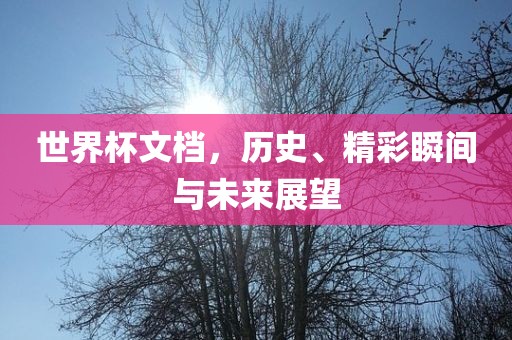 世界杯文档，历史、精彩瞬间与未来展望广西贺州市华昌新材料有限公司