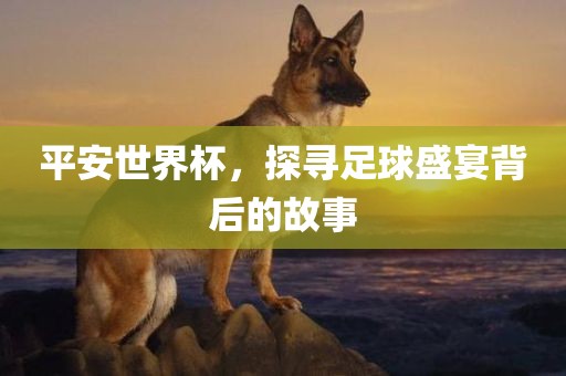平广西贺州市华昌新材料有限公司安世界杯，探寻足球盛宴背后的故事