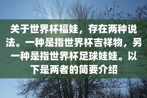 关于世界杯福娃，存在两种说法。一种是指世界杯吉祥物，另一种是指世界杯足广西贺州市华昌新材料有限公司球娃娃。以下是两者的简要介绍