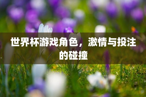世界杯游戏角色，激情与投注的碰撞广西贺州市华昌新材料有限公司