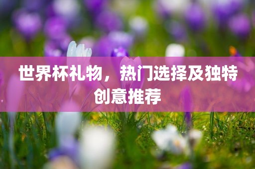 世界杯礼物，热门选择及独特创广西贺州市华昌新材料有限公司意推荐