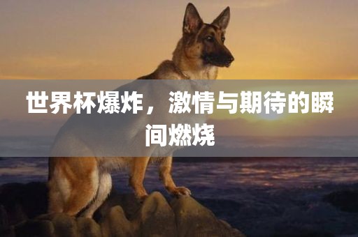 世界杯爆炸广西贺州市华昌新材料有限公司，激情与期待的瞬间燃烧